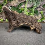 Коряга Мопани/Африканское железное дерево МП642 — изображение 4