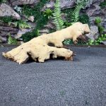 Коряга Мопани/Африканское железное дерево МП645