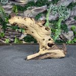 Коряга Мопани/Африканское железное дерево МП648