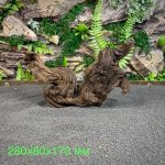 Коряга Мопани/Африканское железное дерево МП650