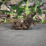 Коряга Мопани/Африканское железное дерево МП650