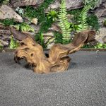 Коряга Мопани/Африканское железное дерево МП650