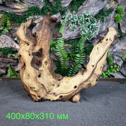 Коряга Мопани/Африканское железное дерево МП651