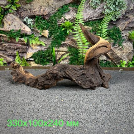 Коряга Мопани/Африканское железное дерево МП653