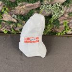 Коряга Мопани/Африканское железное дерево МП650 — изображение 5