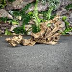 Коралловое дерево/Coral Wood