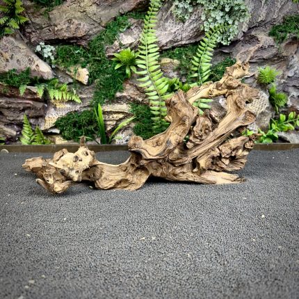 Коралловое дерево/Coral Wood