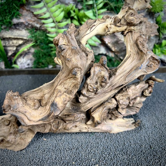 Коралловое дерево/Coral Wood КД656 — изображение 5