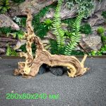 Коралловое дерево/Coral Wood КД658 — изображение 2