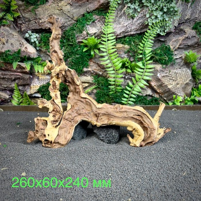 Коралловое дерево/Coral Wood КД658 — изображение 2