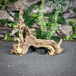 Коралловое дерево/Coral Wood