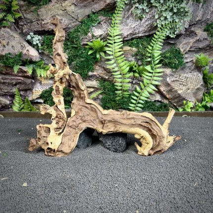 Коралловое дерево/Coral Wood