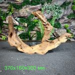 Коралловое дерево/Coral Wood КД659 — изображение 2