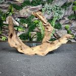 Коралловое дерево/Coral Wood