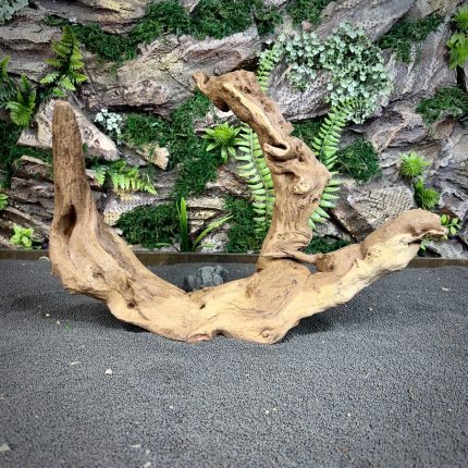 Коралловое дерево/Coral Wood
