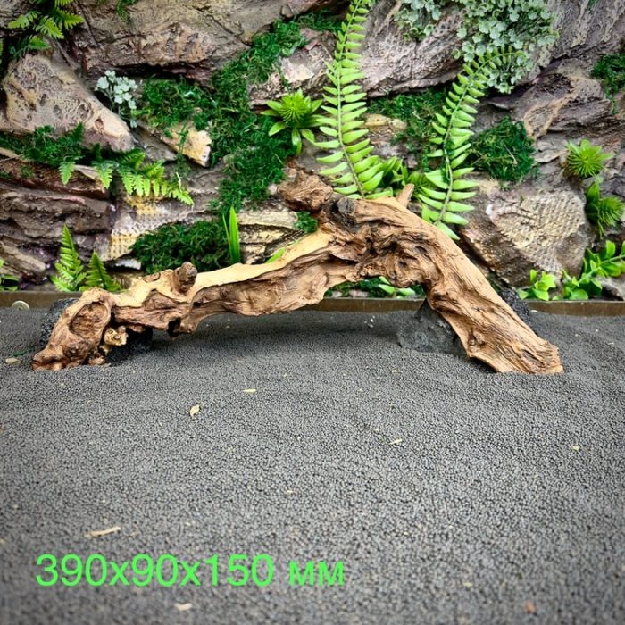 Коралловое дерево/Coral Wood КД660 — изображение 2