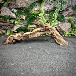 Коралловое дерево/Coral Wood