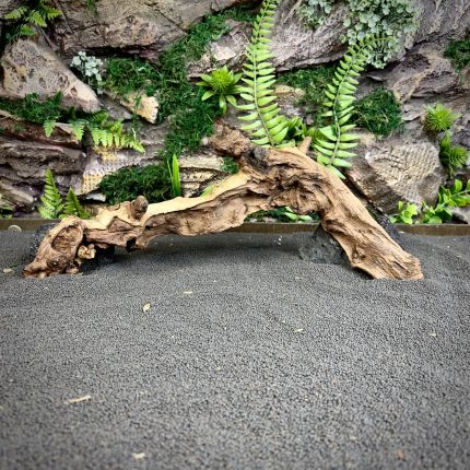 Коралловое дерево/Coral Wood