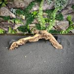 Коралловое дерево/Coral Wood КД660 — изображение 3