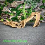 Коралловое дерево/Coral Wood КД665 — изображение 2