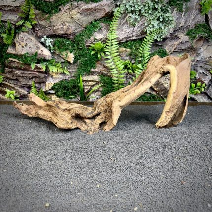 Коралловое дерево/Coral Wood