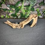 Коралловое дерево/Coral Wood КД665 — изображение 3