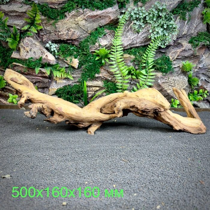 Коралловое дерево/Coral Wood КД666 — изображение 2