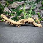 Коралловое дерево/Coral Wood