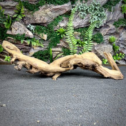 Коралловое дерево/Coral Wood