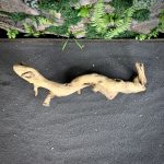 Коралловое дерево/Coral Wood КД666 — изображение 4