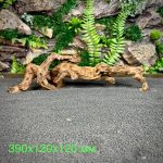 Коралловое дерево/Coral Wood КД671 — изображение 2