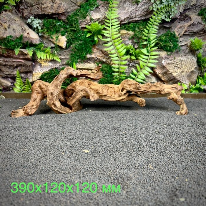 Коралловое дерево/Coral Wood КД671 — изображение 2