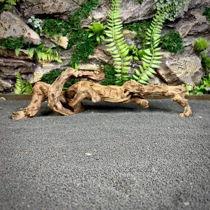 Коралловое дерево/Coral Wood