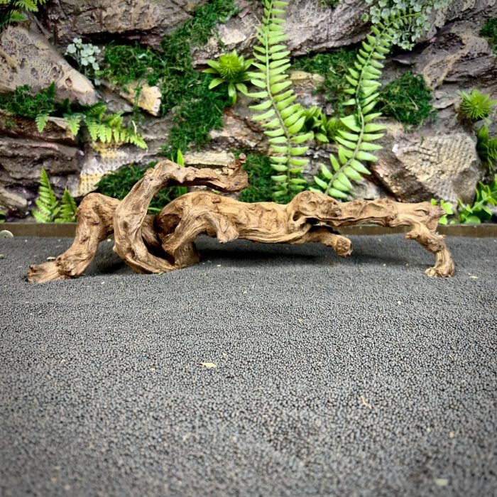 Коралловое дерево/Coral Wood