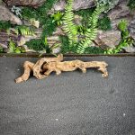 Коралловое дерево/Coral Wood КД671 — изображение 3