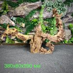 Коралловое дерево/Coral Wood КД675 — изображение 2