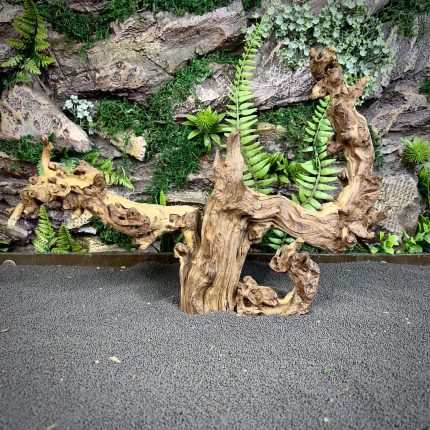 Коралловое дерево/Coral Wood