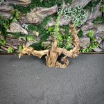 Коралловое дерево/Coral Wood КД675 — изображение 3