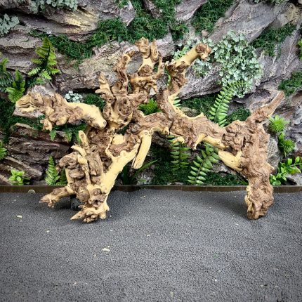 Коралловое дерево/Coral Wood