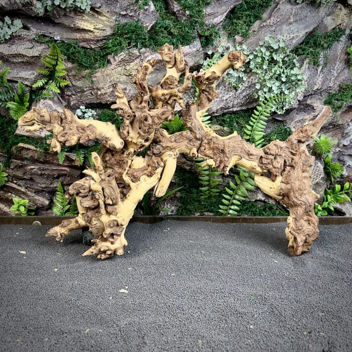 Коралловое дерево/Coral Wood