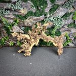Коралловое дерево/Coral Wood КД676 — изображение 3