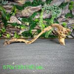 Коралловое дерево/Coral Wood КД677 — изображение 2