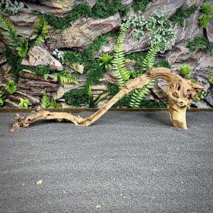 Коралловое дерево/Coral Wood