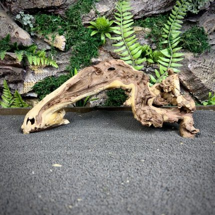Коралловое дерево/Coral Wood