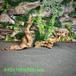 Коралловое дерево/Coral Wood КД681 — изображение 2