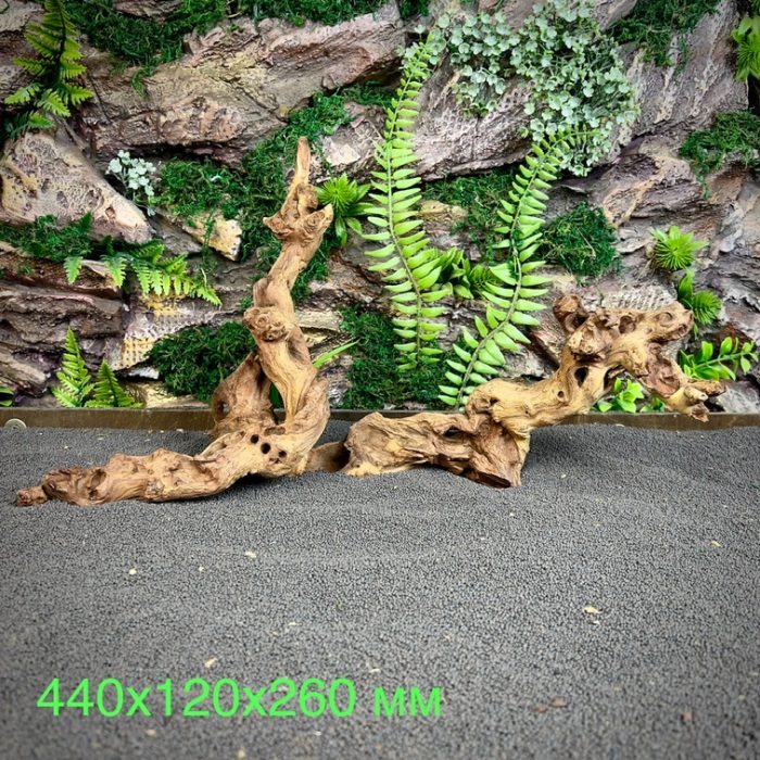 Коралловое дерево/Coral Wood КД681 — изображение 2