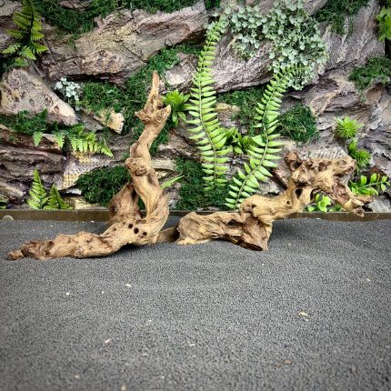Коралловое дерево/Coral Wood