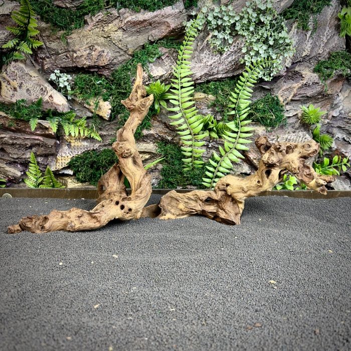 Коралловое дерево/Coral Wood