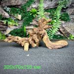 Коралловое дерево/Coral Wood КД684 — изображение 2