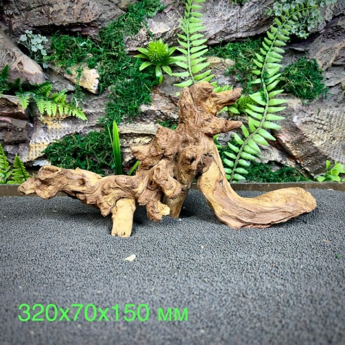Коралловое дерево/Coral Wood КД684 — изображение 2